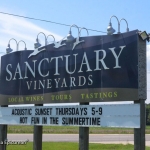 Sanctuary-Vineyards-(32)
