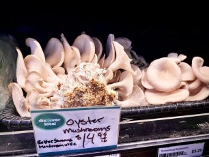 Find AgriFacture Better-Shrooms Oyster Mushrooms at the Hendersonville Co-op, local restaurants, Earth Fare & other locations. Image: Courtesy AgriFacture