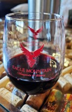 We finished off our tasting flight with a 5oz pour of their very tasty Cabernet Sauvignon