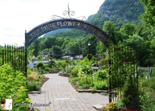 Lake-Lure-Flowering-Bridge-31700