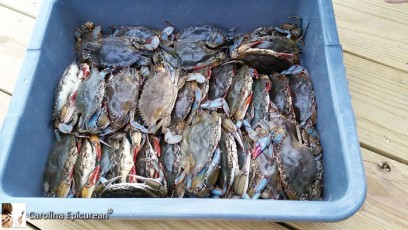 fresh caught crabs