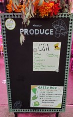 CSA and Online Store