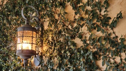Terrace wall lantern & ivy.