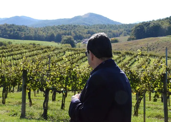 Dr. Ted K at Biltmore Vineyards