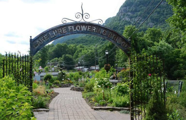 Lake Lure Flowering Bridge