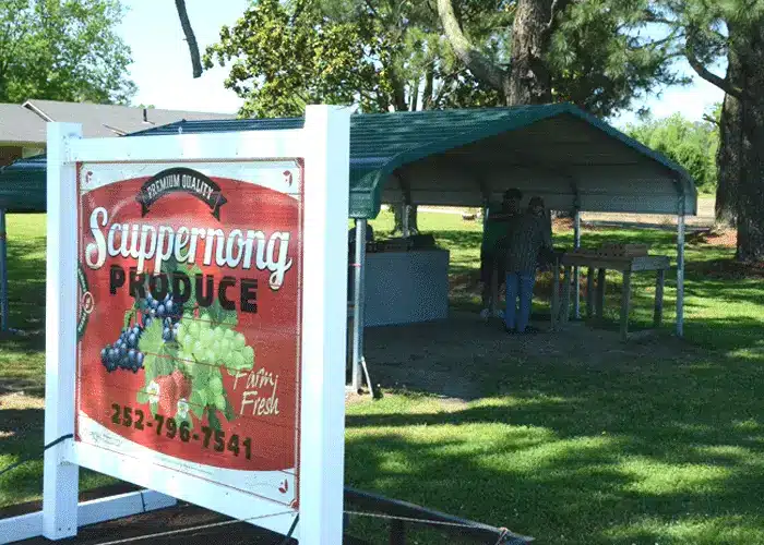 Scuppernong Farm Stand