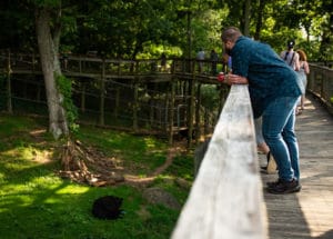 WNC Nature Center Brews and Bears