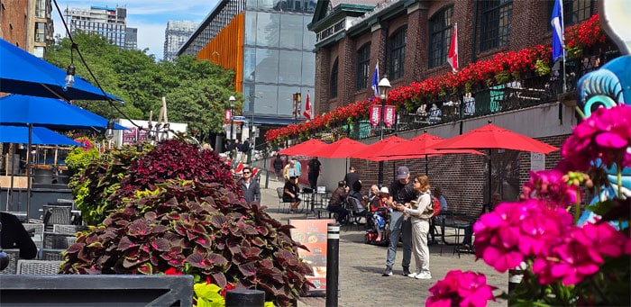 St Lawrence Market Toronto, Ontario