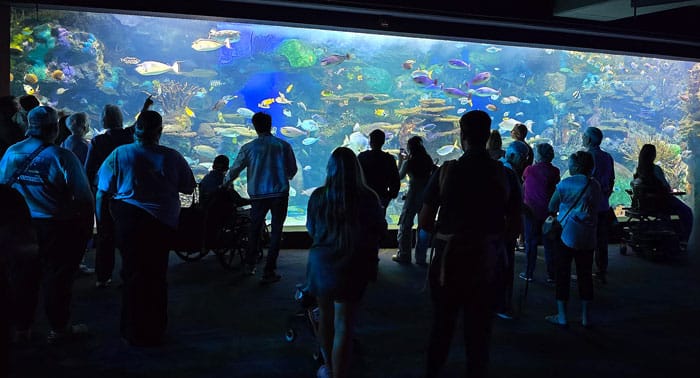 Ripley's Aquarium of Canada in Toronto, Ontario