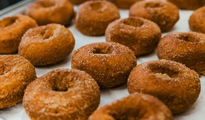 Jeter Mountain Orchard - Apple Cider Donuts