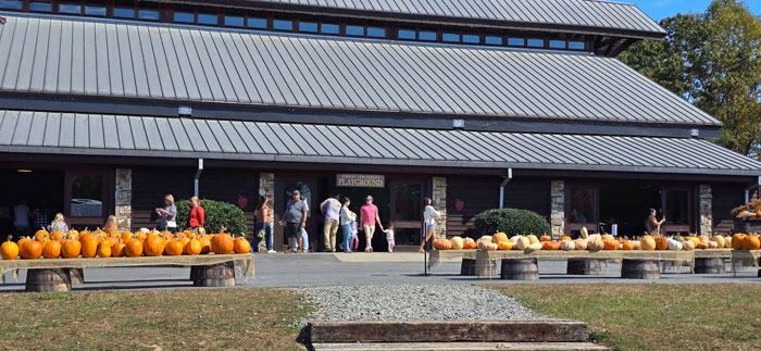 Jeter Mountain Orchard