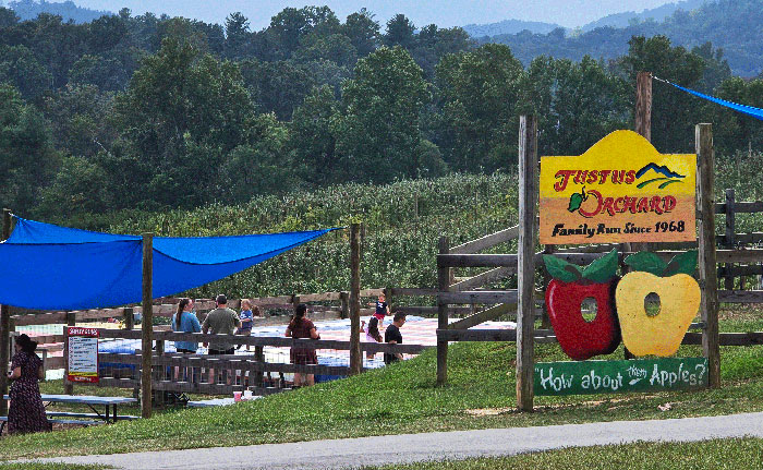 Justus Orchard